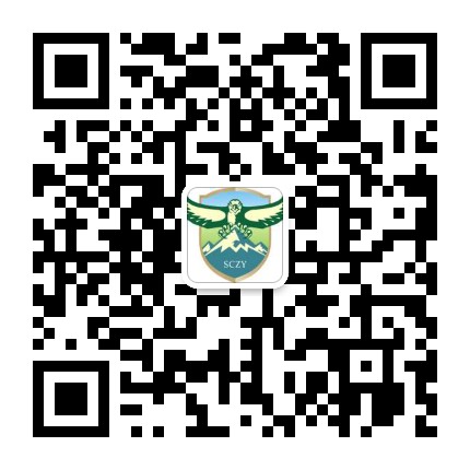 aa877ab4c4199a90bf260f1adcce212.jpg